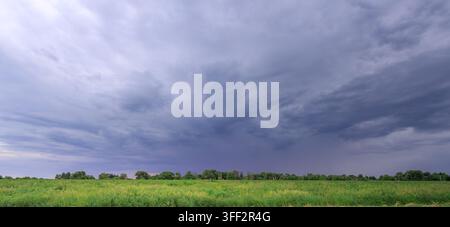 Dark clouds loom over a green field. Trees line the horizon under a heavy sky. Wind may stir the tall grass Stock Photo