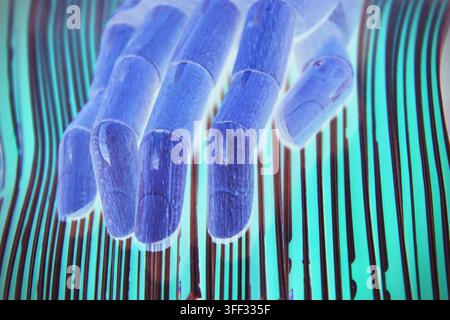 robot, robotic, hand, paper, papers, document, documents, file, files, office, desk, work, business, technology, AI, artificial, intelligence, machine Stock Photo