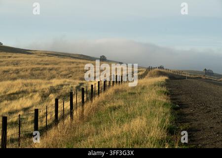 A wire fence borders a road through golden hills in Catheys Valley, California, marking property lines on a serene, foggy morning. Stock Photo