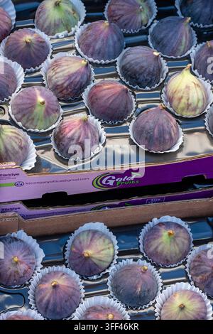 Fresh deep blue and purple skinned fresh figs from Gold Foods in Turkey. Stock Photo