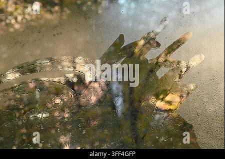 Wet glass with water droplets and blurred nature details, condensation creates soft, abstract effect, showcasing nature organic shapes through misty t Stock Photo