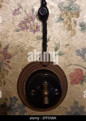 A close-up view of a vintage-style electrical light switch mounted on floral wallpaper. The switch features a circular brown bakelite or wooden Stock Photo
