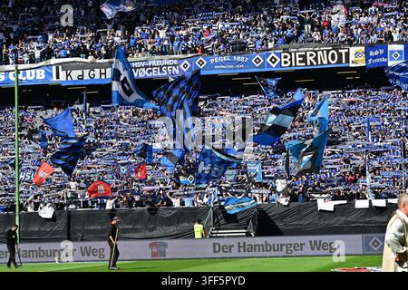 Feature the fans [supporters] of HSV Hamburg set off pyrotechnics DFB ...