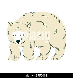 Fluffy polar bear illustration with soft cream fur for Arctic wildlife education, children books, nursery decor, winter posters, animal cards and Stock Vector