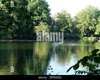 Wide view of a peaceful park pond framed by vibrant green trees and overhanging foliage. Soft ripples reflect the surrounding forest landscape in natu Stock Photo