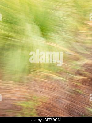 Abstract natural motion blur background featuring a soft diagonal blend of vibrant green and earthy brown tones Stock Photo