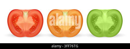Tomato Slices, 3d Vector Illustration. Tomato Slice Set. Red, Orange, Green Tomato Cut Illustration for Salad, Cooking, Kitchen, Menu, Vegan Food Stock Vector