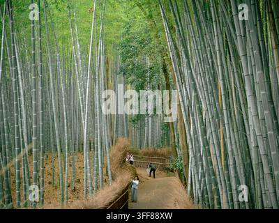 Visitors walking through the Arashiyama bamboo grove on a rainy day in Kyoto, Japan Stock Photo