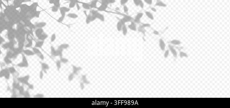 Easy to edit layered vector shadow. Small leafy branches frame the top and left around open checkerboard space. Stock Vector
