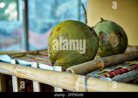 Two whole green coconuts placed on a traditional bamboo structure in the morning. Stock Photo