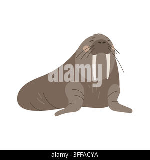 Cute walrus with tusks isolated on white background vector illustration Stock Vector