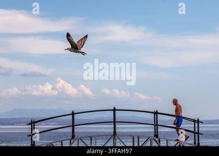 A lone man in shorts walks along a metal railing overlooking the Adriatic Sea. A seagull soars through the sky above him. The scene is peaceful and se Stock Photo