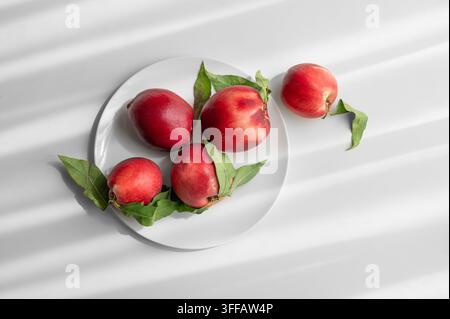 Fresh red peaches or nectarines with green leaves, on plate on white table and sunlight from window. Healthy and wholesome food concept, organic fruit Stock Photo
