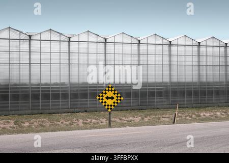 A yellow and black checkered road sign with a two-way arrow road sign stands  in front of a long industrial greenhouse under a pale blue sky. Stock Photo