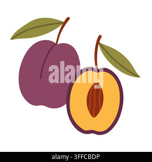 Ripe purple plum fruit whole and sliced half with pit vector isolated on white background. Great for autumn fruit harvesting graphics, jam recipes Stock Vector