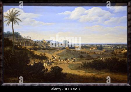 Brazilian Landscape with a House under Construction, c.1655-1660, Frans Post (1612-1680), Mauritshuis museum,The Hague, Den Haag, Netherlands Stock Photo
