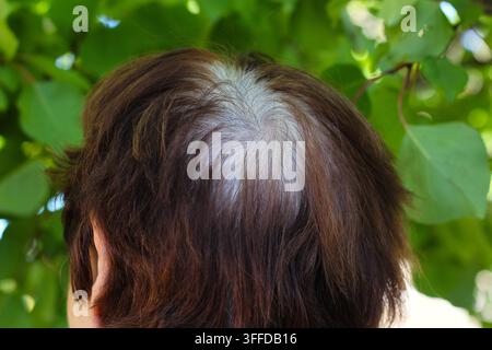 High angle view of woman with grey hair roots and thinning crown Stock Photo