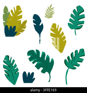 Tropical leaves, flat vector illustration, set isolated on background. Monstera leaves, palm leaves, and fern-like branches. For summer-themed designs Stock Vector