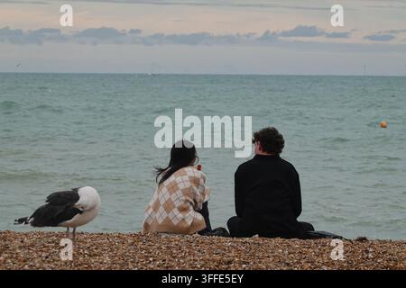 A young couple sitting together on a pebble beach looking at the sea with a seagull in the foreground, Brighton, England. Stock Photo