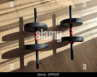 ​Top view of two black dumbbells with red accents lying on a wooden floor, casting shadows indoors with natural sunlight. Stock Photo
