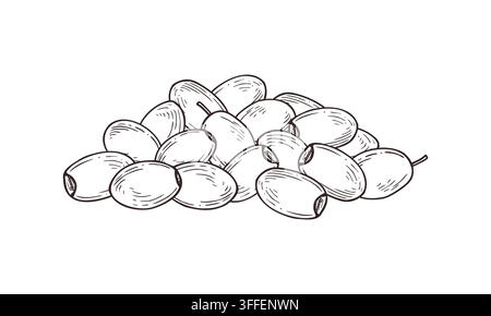 Heap of olives or lotus seeds engraving Illustration. Hand drawn nuts pile black ink vector sketch. Monochrome fruit stack for healthy snack design Stock Vector