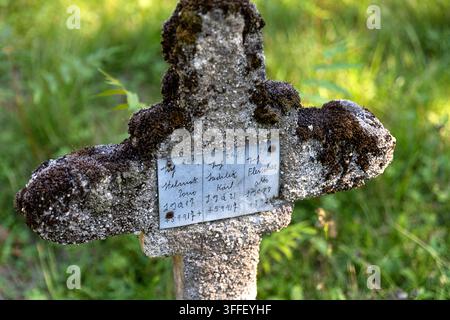 Historic Austro-Hungarian military cemetery with weathered stone grave markers of World War I soldiers among autumn trees in Brje pri Komnu. Stock Photo