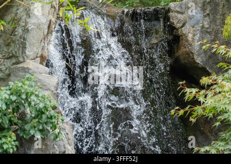 Water cascades forcefully over dark rock in close-up, framed by ivy on one side and Japanese maple leaves on the other. Stock Photo