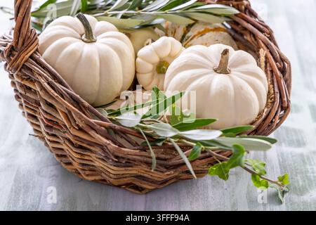 White pumpkins and gourds arranged in a rustic woven basket with greenery Stock Photo