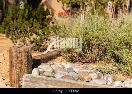 Xeriscape in New Mexico Garden Stock Photo