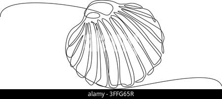minimalist continuous drawing of a seashell on a clean white background, line art vector illustration Stock Vector