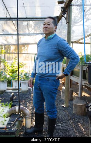 Senior Asian man standing in greenhouse among white pots and planter boxes, wearing blue sweater Stock Photo