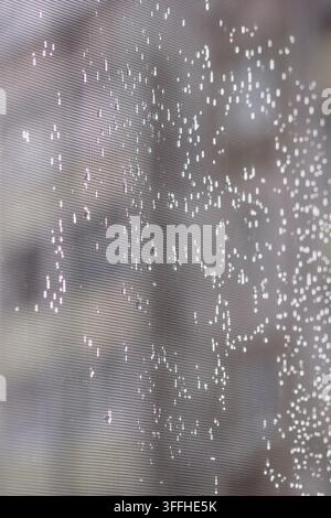 Raindrops and glowing bokeh lights on window screen mesh background Stock Photo