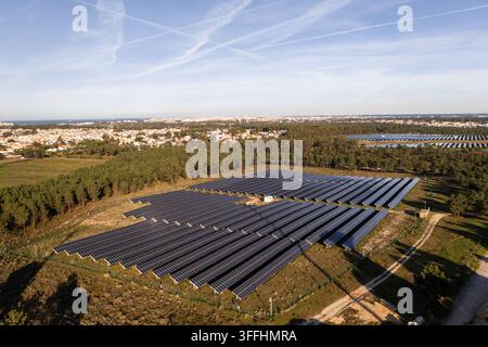 Drone view of a large photovoltaic solar farm surrounded by forest, demonstrating renewable energy production on an industrial scale. Stock Photo