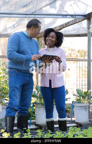Diverse coworkers examining tablet in greenhouse while senior Asian man pointing, pots, in boots Stock Photo