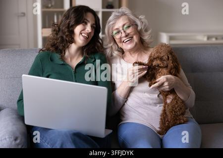 Multigenerational family enjoy time with dog using laptop at home Stock Photo