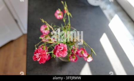 Pink carnations arranged in a vase, in on a dark surface possibly a table or, with pink carnations, clear glass vase, from a top-down perspective pers Stock Photo