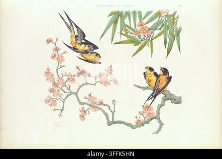 Vintage Japanese illustration: Four Swallows from Japan on flowering trees. 1883 The artwork features a serene nature scene with four yellow and black birds (possibly swallows) among blooming cherry blossoms and bamboo leaves. Two birds are in flight while the other two perch on a gnarled branch, creating a dynamic yet balanced composition. The detailed plumage, soft pastel blossoms, and slender green bamboo leaves embody the Japanese artistic principles of grace, natural harmony, and seasonal reverence��often seen in folding screens, woodblock prints, and textile patterns. Stock Photo