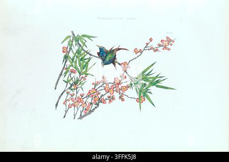 Two Birds on Flowers. 1883 This graceful illustration features two vibrant birds perched on a flowering branch adorned with soft pink blossoms and slender bamboo leaves. The birds, painted in iridescent greens, blues, and reddish-browns, bring a sense of liveliness and movement to the tranquil scene. The careful balance between the delicate flowers and sharp bamboo foliage illustrates the traditional Japanese aesthetic of contrast and harmony in nature, often seen in textile patterns, ceramics, and woodblock prints. Stock Photo