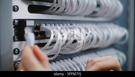 Close Up of Female Technician Works on Network Switch Ports and Patch Cables in Server Cabinet, Performing Physical Layer Maintenance, Structured Cabl Stock Photo
