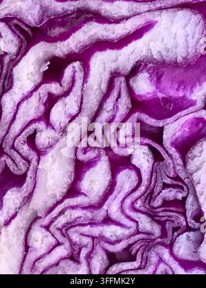 Cut red cabbage. Close view. Stock Photo