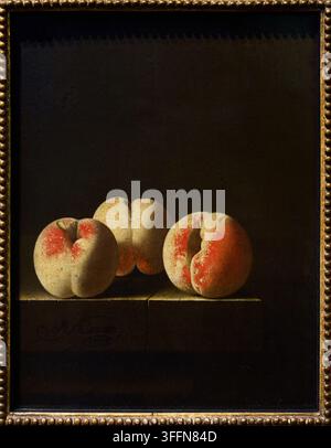 Three Peaches on a Stone Plinth, 1705, Adriaen Coorte (active c. 1683-1707), Rijksmuseum, Amsterdam, Netherlands Stock Photo