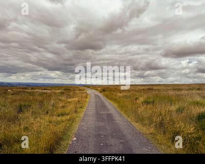A narrow asphalt road curves through a wide expanse of dry, golden moorland grasses beneath a heavy, overcast sky Stock Photo