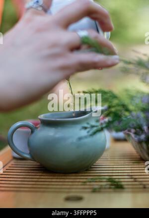 Close-up of hands pouring tea from a gaiwan into a ceramic teapot during a traditional Chinese tea ceremony, arranged on a bamboo tray with fresh gree Stock Photo