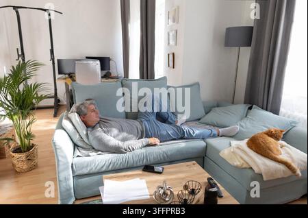 Middle-aged man relaxes on a sofa beside a sleeping cat in a bright modern living room, enjoying a peaceful moment at home surrounded by comfortable f Stock Photo