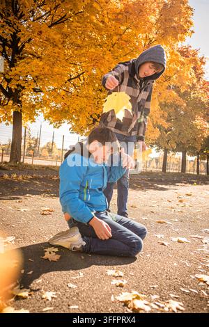 Two brothers enjoy a sunny autumn day outside, gathering bright yellow maple leaves scattered across the pavement beneath vividly colored trees. Stock Photo