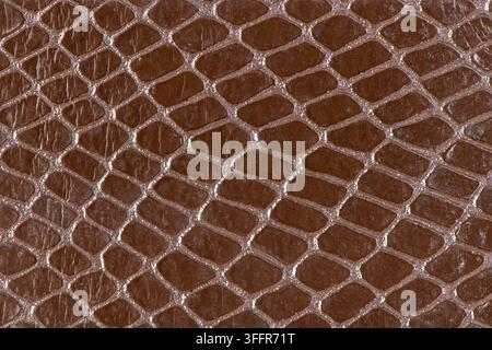 Close up macro photograph of a brown snakeskin texture showing detailed reptile scales and glossy highlights. Stock Photo