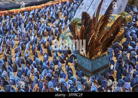 Mussel Shells and Feather Shrine on Sandy Beach with Natural Coastal Texture Stock Photo