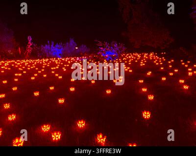 Lightscape Perth, Australia - 15 July 2025: Red Lights Iluminating a Field at Night Stock Photo