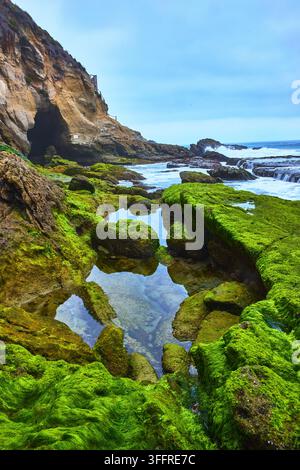 Laguna Beach Tidepools Lush Algae Covered Rocks and Ocean Cave at Thousand Steps Beach Stock Photo