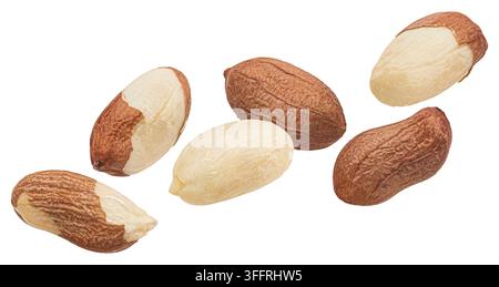 Falling peanuts isolated on white background Stock Photo